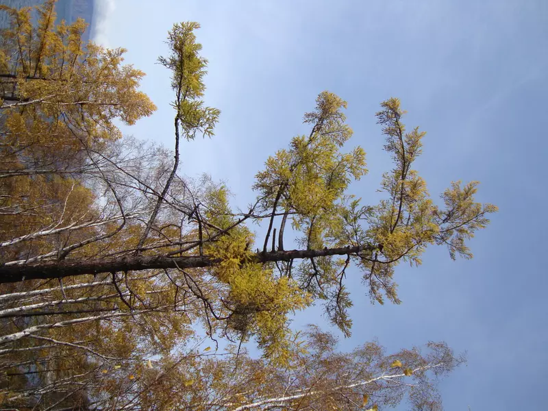 Фото №7 для «экология: День Байкала»