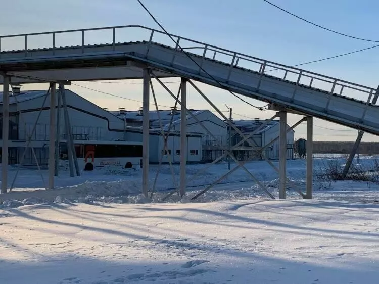 Фото №3 для новости «сельское хозяйство: На тюменской птицефабрике Пышминская завершён один из этапов реконструкции»