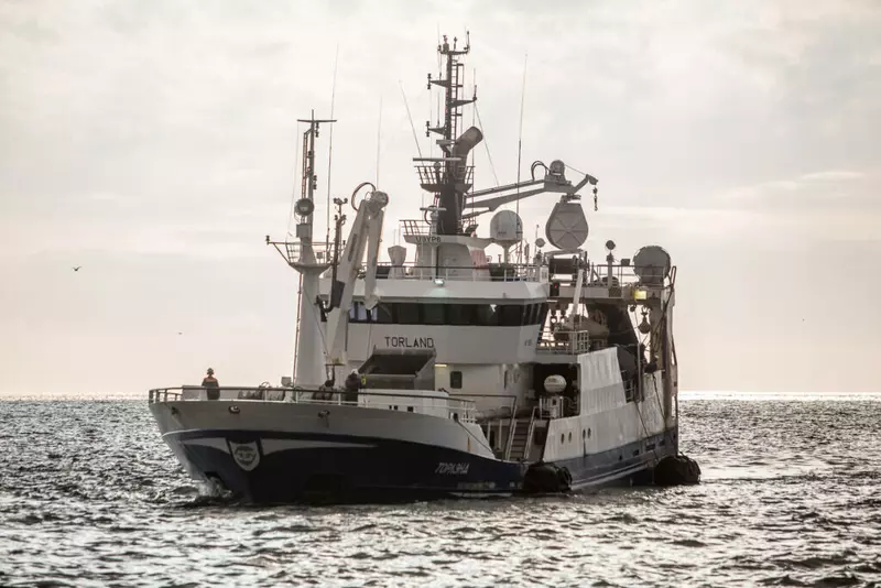 Российские рыбаки выловили более 3 8 млн тонн рыбы на 12 5 выше уровня прошлого года