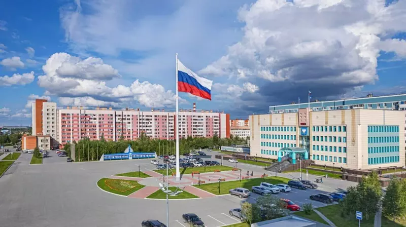 Иллюстрация №82 для «Газ Уренгоя Родине часть 1»