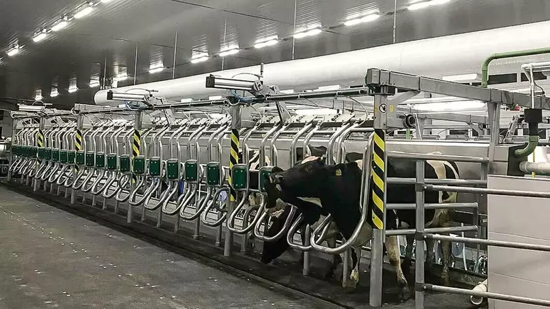 Картинка 1 для публикации «Новые и модернизированные предприятия агропрома: В Алтайском крае открылся новый молочный комплекс»