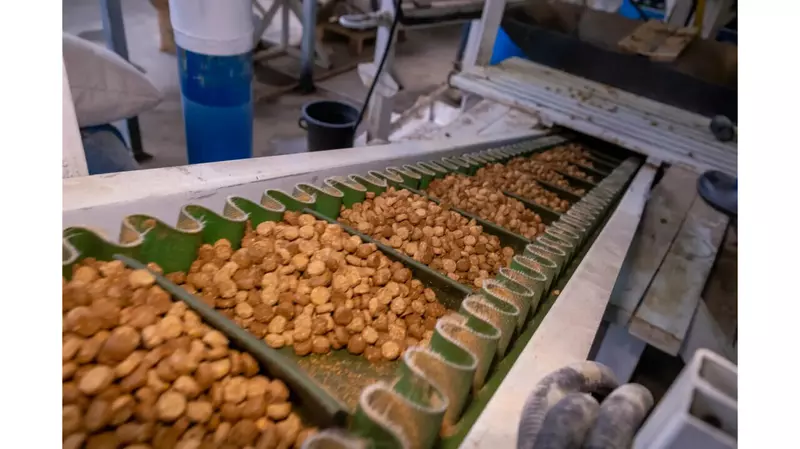 Картинка №5 для новости «В Подмосковье запустили завод по производству кормов для рыб и домашних животных»