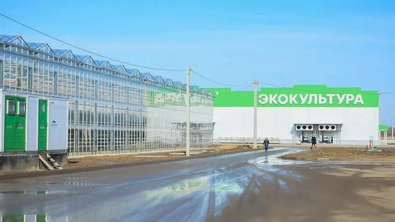 Картинка №2 для поста «тепличный комплекс: В Московской области запущена первая очередь крупного тепличного комплекса»