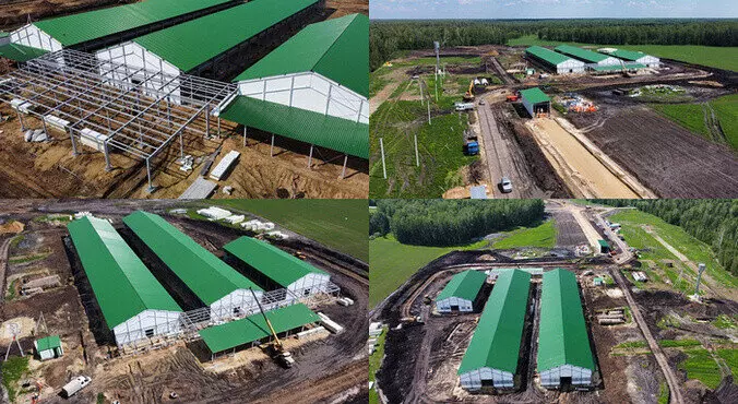 Иллюстрация 2 для публикации «птицеводство: В Тюменской области запущен племенной репродуктор индейки»