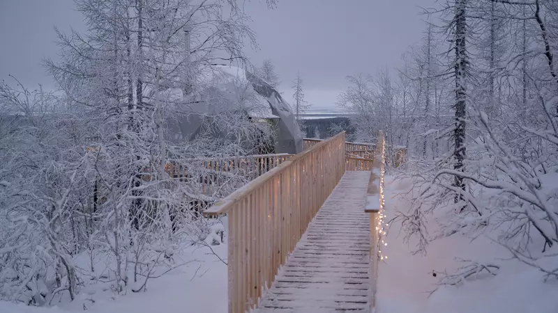 38 для статьи «Ямальский меридиан 24»