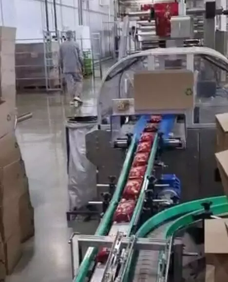 Меридиан Автоматизация представил роботизированный комплекс для паллетирования