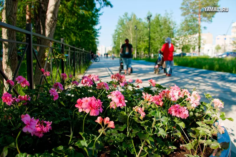 Изображение №26 для публикации «Ямальский меридиан 14»