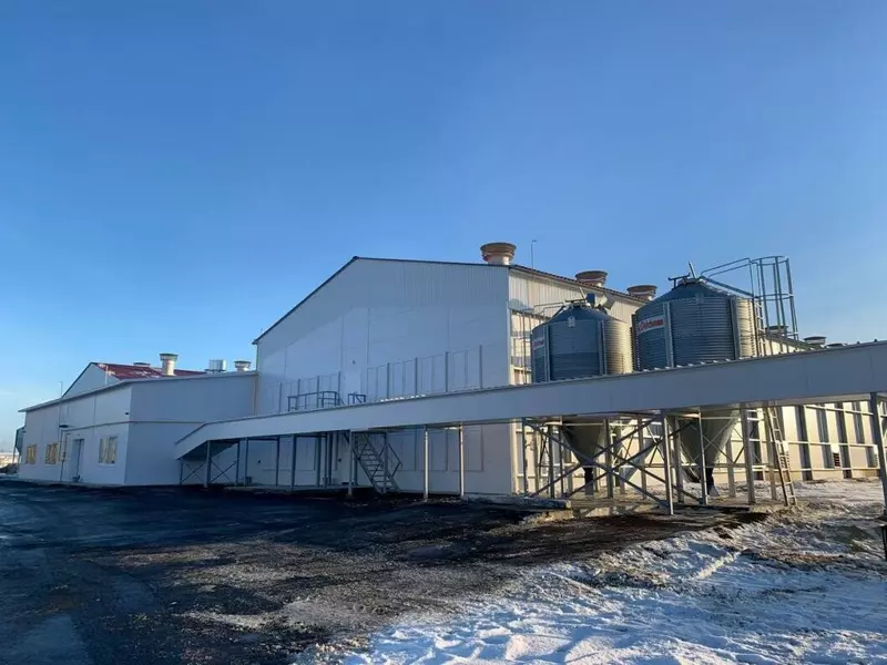 Картинка #2 для статьи «Тюменская область: На тюменской птицефабрике Пышминская завершён один из этапов реконструкции»