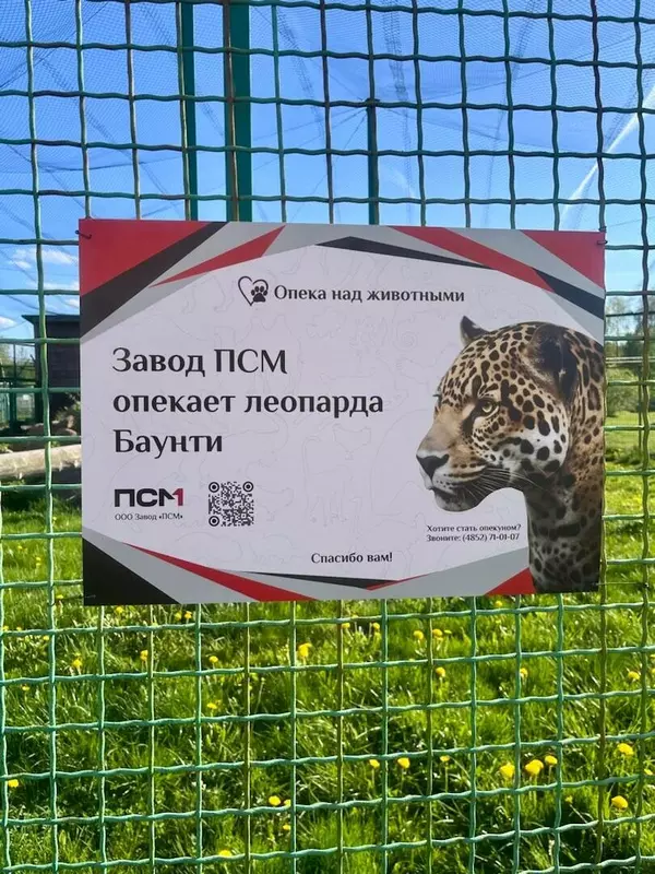 Российские промышленные компании инвестируют в КСО