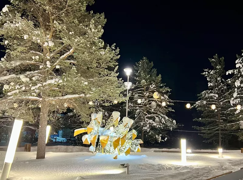 Фото #31 для статьи «Ямальский меридиан 26»