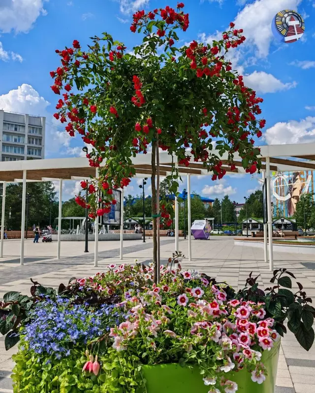 Изображение №9 для статьи «Ямал встречает юбилеи опорных городов»