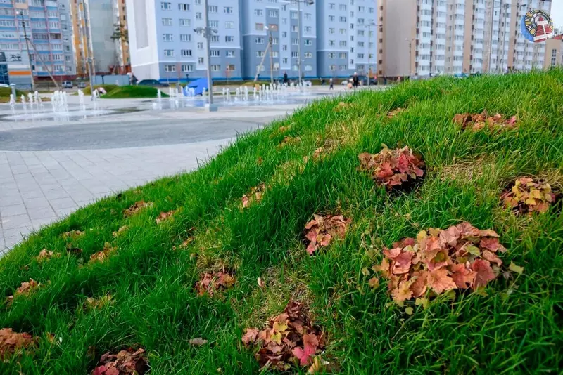 Картинка 20 для новости «Ямальский меридиан 17»