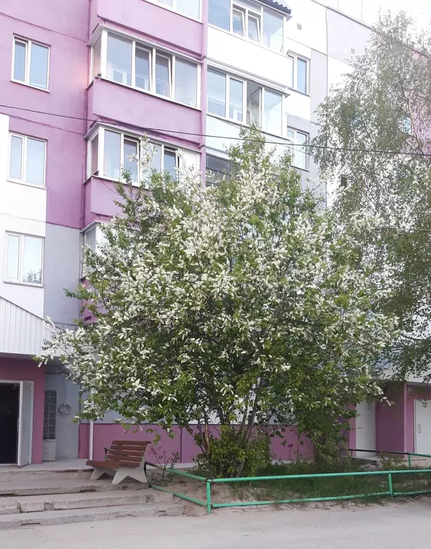 Фото 24 для статьи «Ямальский меридиан 14»