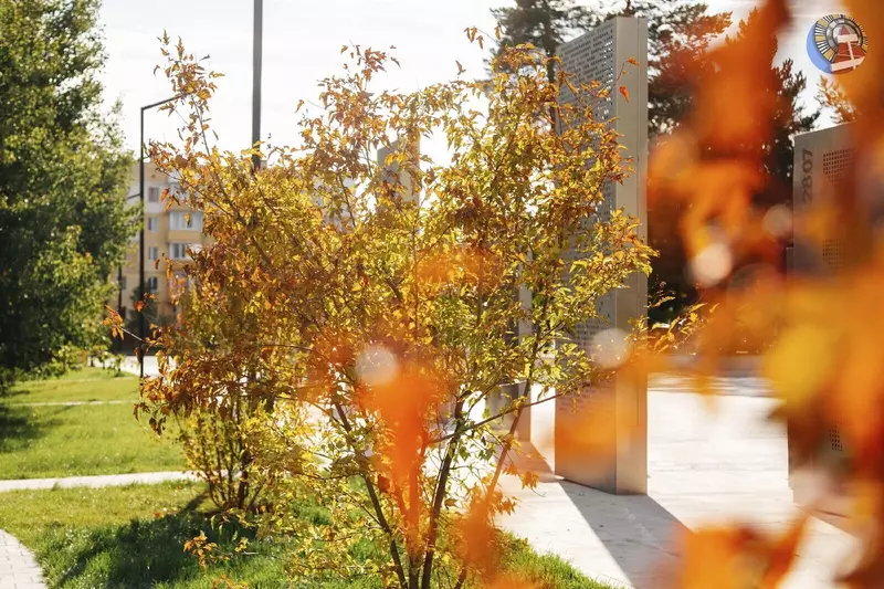 Картинка #61 для поста «Ямальский меридиан 16»