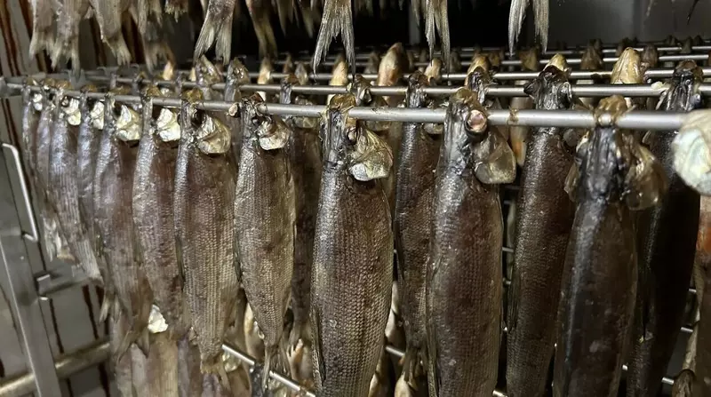 Картинка #1 для новости «: »