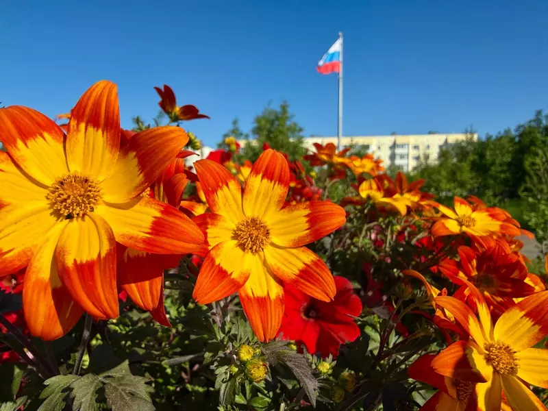 Муравленко