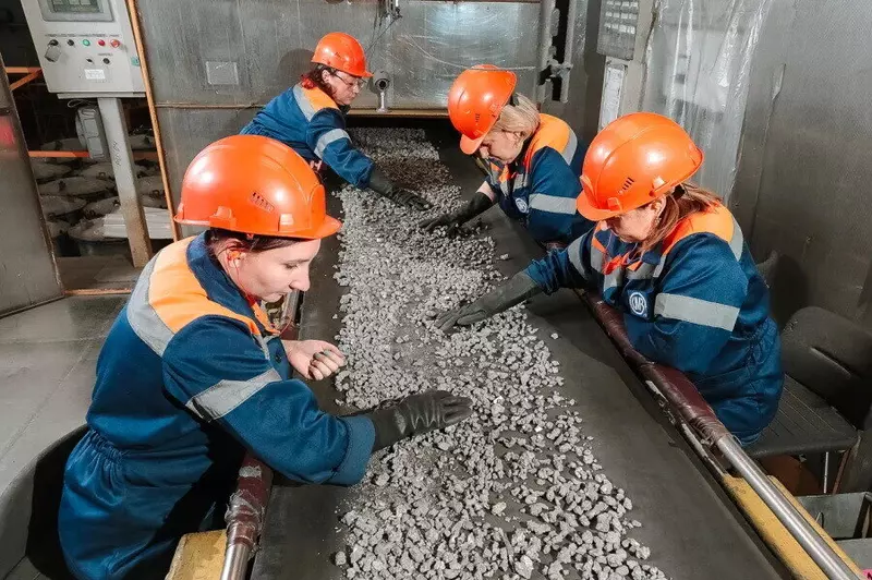 Изображение №1 для новости «Лесоводство: Соликамский магниевый завод существенно сократил вредные выбросы»