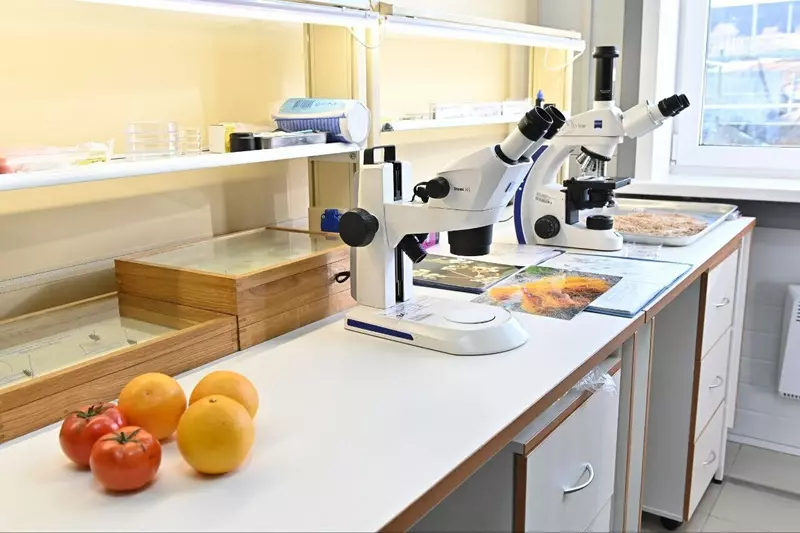 3 для «таможенно-логистический терминал: В Бурятии на границе с Монголией открылся новый таможенно логистический терминала Кяхта»