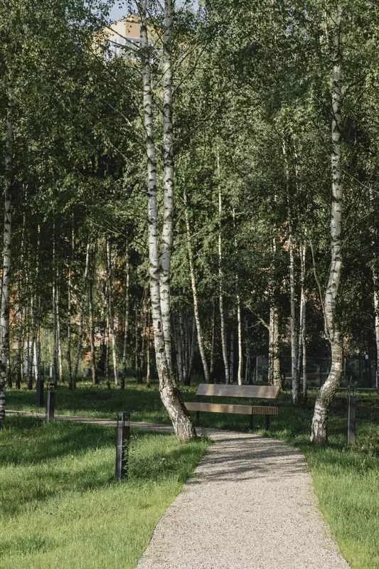 Картинка #68 для новости «Новости благоустройства территорий»