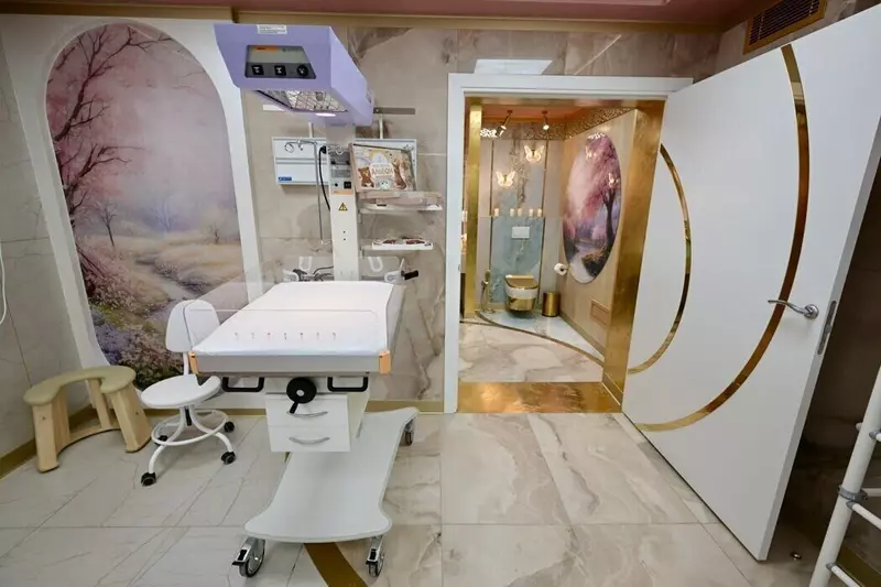 Изображение №1 для «Медучреждения: Роддом с уникальными дизайнерскими палатами открыли в Первоуральске Свердловской области»