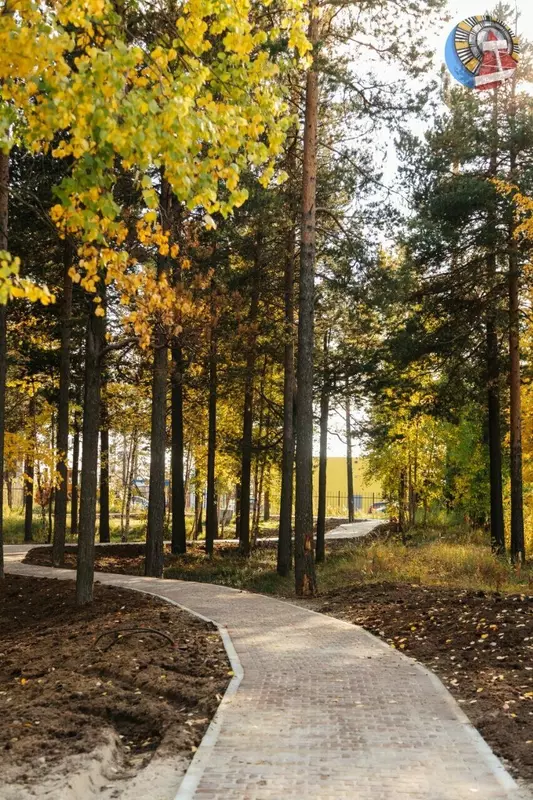 Фото №34 для статьи «Четыре новых парка благоустроено в Ноябрьске»