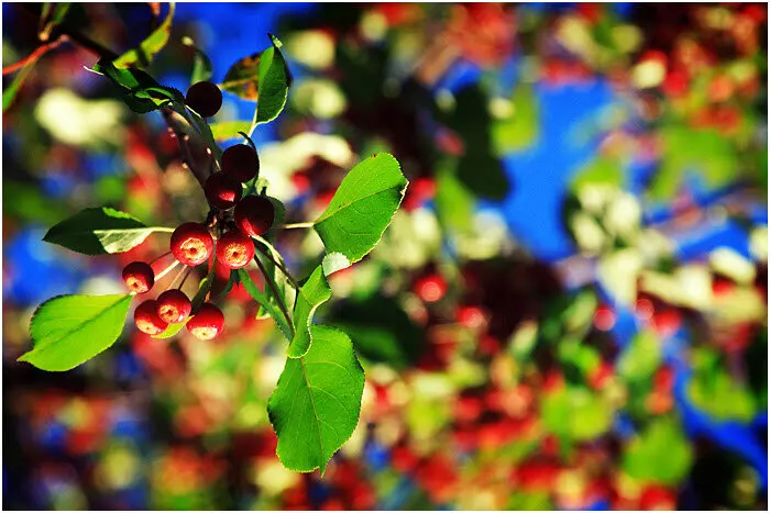 Иллюстрация #2 для поста «Тюмень: Тюменское импортозамещение часть 8»