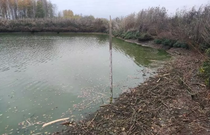 12 для поста «В регионах Сибири реализованы крупные экологические проекты»