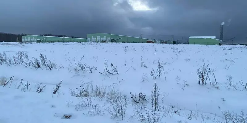 2 для публикации «птицеводство: На птицефабрике в Костромской области построен новый комплекс по выращиванию цыплят»