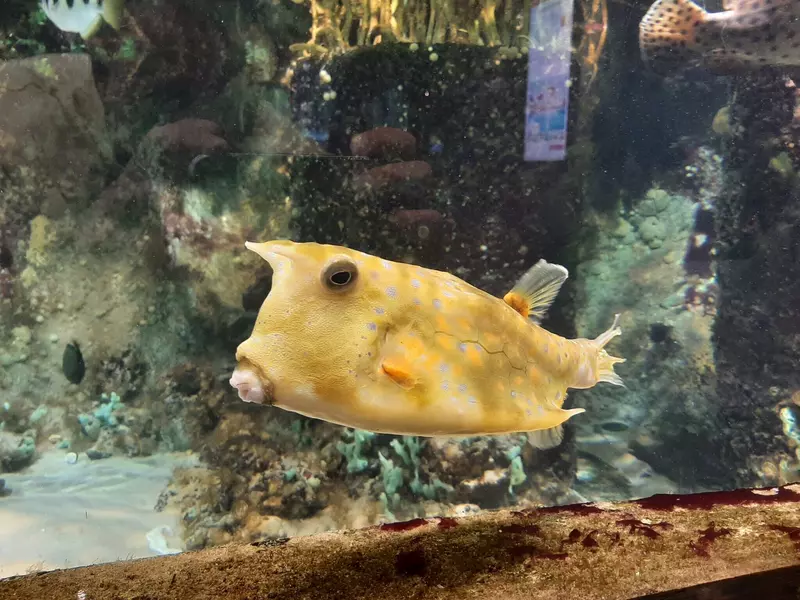 Океанариум "Акватика" (фото автора)