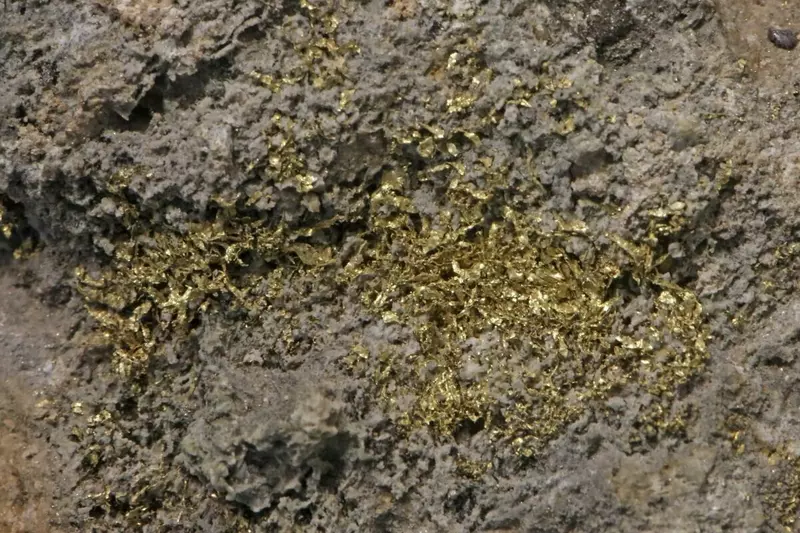 Изображение №1 для статьи «Добыча и разведка полезных ископаемых: РИВС запатентовал технологию получения золота из руд двойной упорности»