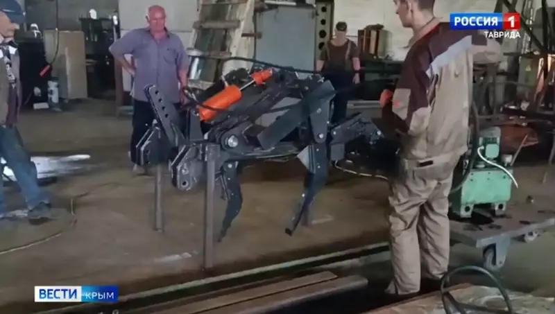 Изображение #3 для «Российские компании впервой половине 2025 г»