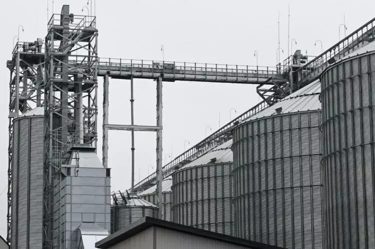 Изображение #6 для «В Тюменской области открылся завод по глубокой переработке гороха»