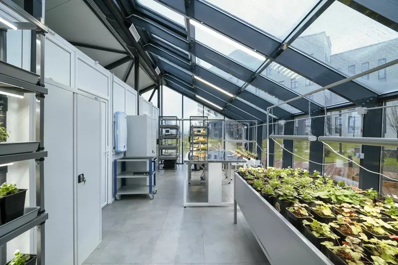 Картинка 10 для поста «Лицей 1 им»