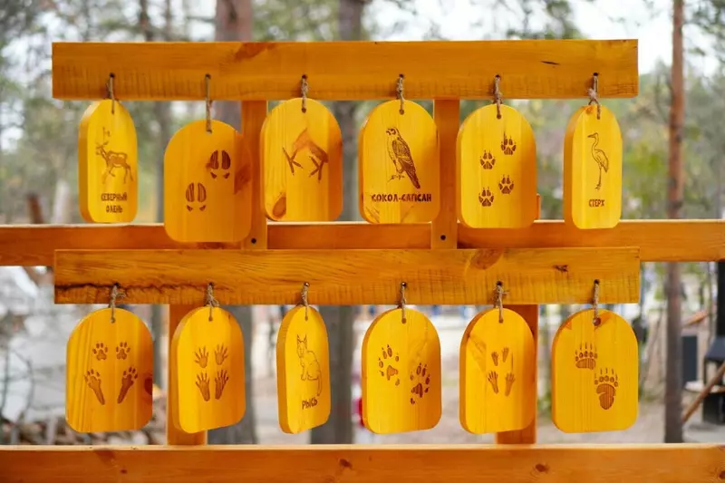 Фото #53 для статьи «Четыре новых парка благоустроено в Ноябрьске»