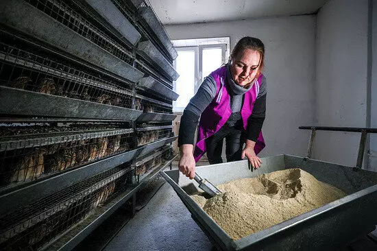 На Ставрополье построили комбикормовый завод за 470 млн рублей