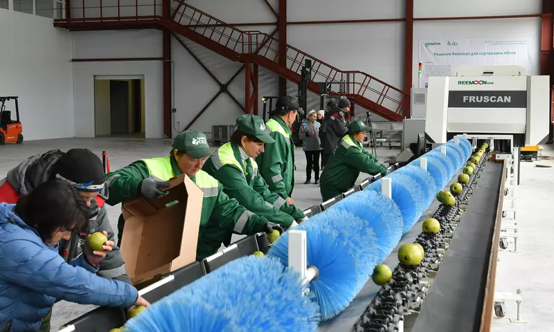 Иллюстрация 2 для публикации «Брянская область: В Клетнянском районе Брянской области открыли плодохранилище для яблок»