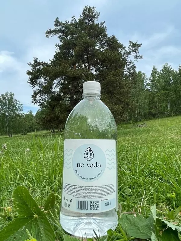 В Башкортостане появилось уникальное производство воды из древесины