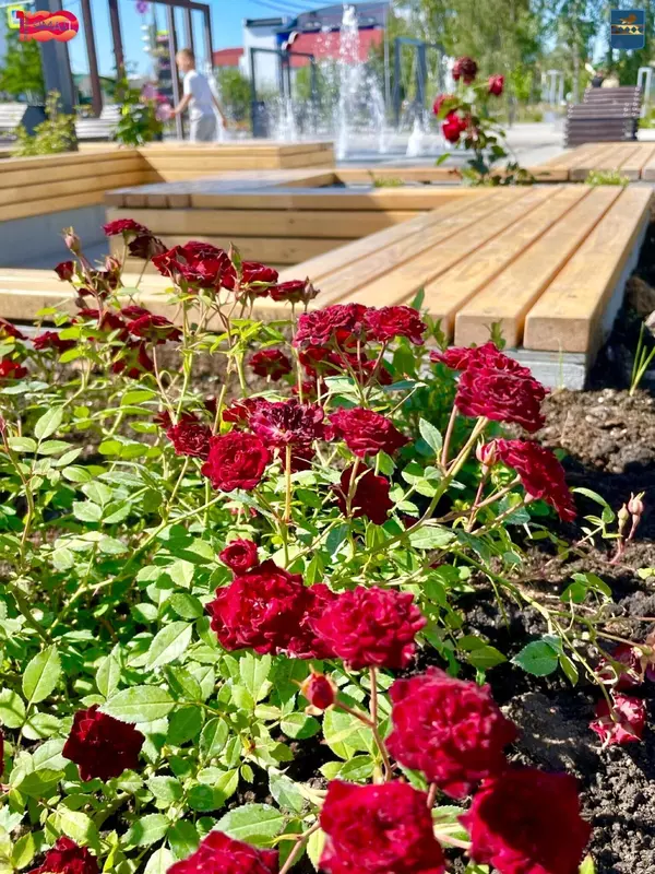 Изображение 83 для «Ямальский меридиан 14»