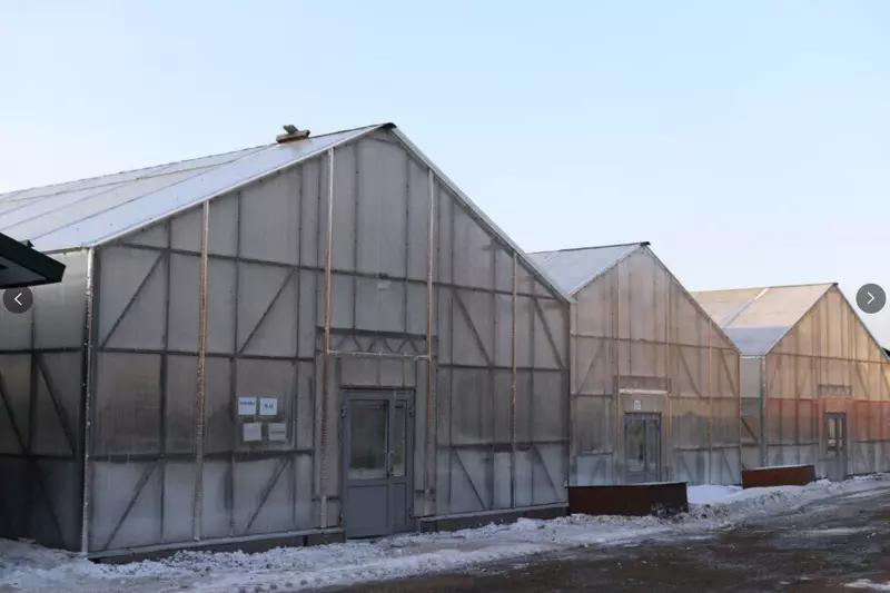 Изображение 11 для публикации «Иркутская область развитие экономики часть 4»