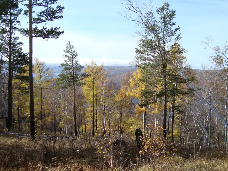 Фото №19 для поста «День Байкала»