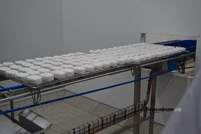 Изображение 2 для статьи «новое произвводство: В Башкирии открылось новое производство мягких сыров»