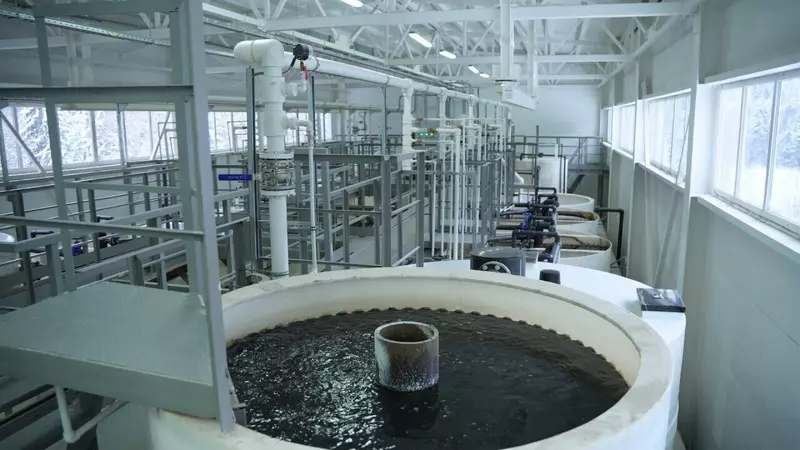 Фото №3 для новости «»