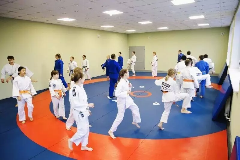 Картинка 1 для публикации «Спортивные объекты: В поселке Смышляевка под Самарой заработал новый ФОК»