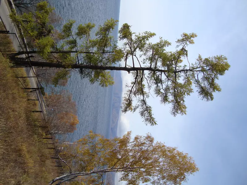 Изображение #8 для новости «День Байкала»