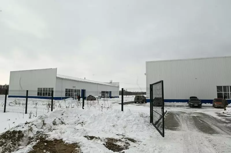 Иллюстрация №15 для поста «Тюменское импортозамещение часть 11»