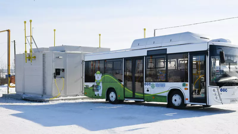 Иллюстрация №29 для «Ямальский меридиан 12»