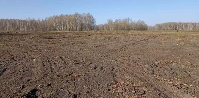 #11 для статьи «В регионах Сибири реализованы крупные экологические проекты»