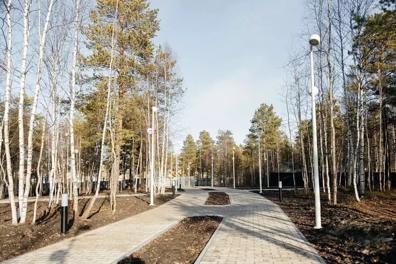 Иллюстрация №46 для «Развитие Сибири часть 4»