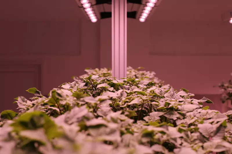 Платформа Меристема для подготовки агрономов в Иркутске