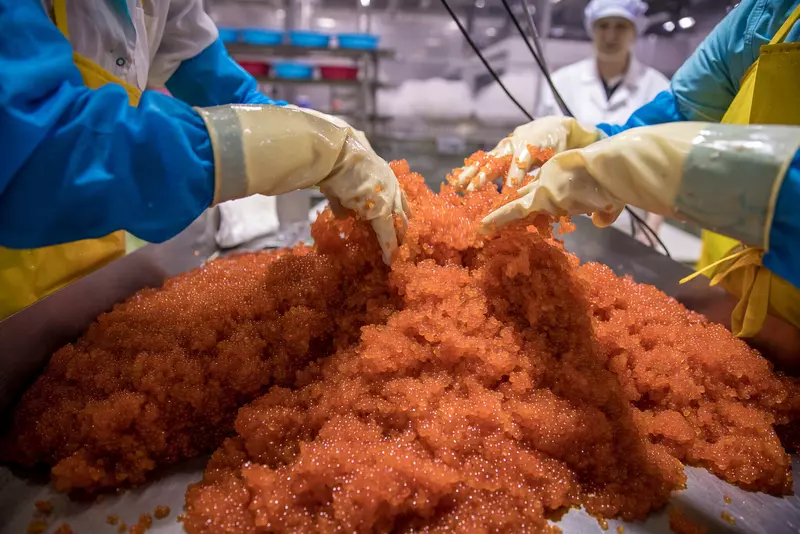 Производство лососевой икры в России выросло в три раза к уровню прошлого года